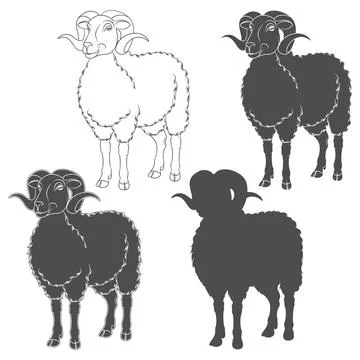 Set of black and white illustrations with ram, sheep Stock Illustration