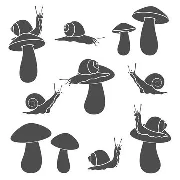 Set of black and white illustrations with snails and mushrooms Stock Illustration