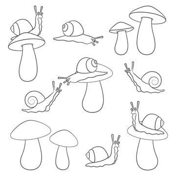 Set of black and white illustrations with snails and mushrooms Stock Illustration