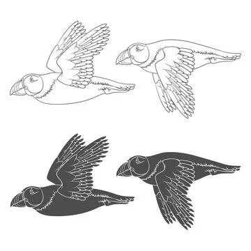 Set of black and white illustrations with flying puffin bird Stock Illustration