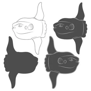 Set of black and white illustrations with fish moon, mola mola Illustrazione stock