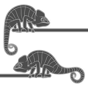 Set of black and white illustrations with chameleon Stock Illustration