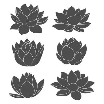 Set of black and white illustrations with water lily, lotus Stock Illustration