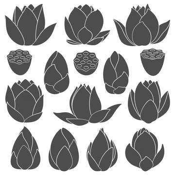 Set of black and white illustrations with water lily, lotus Stock Illustration