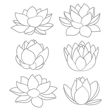 Set of black and white illustrations with water lily, lotus 库存插图