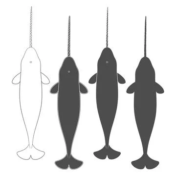 Set of black and white illustrations animal narwhal Illustrazione stock