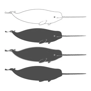 Set of black and white illustrations animal narwhal, sea unicorn 库存插图