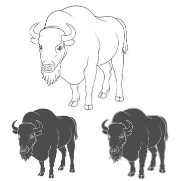 Set of black and white vector images with a bison. Stock-Illustration