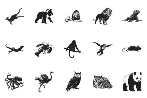 Set of black and white wild animal illustrations isolated on white backgrou.. Stock Illustration