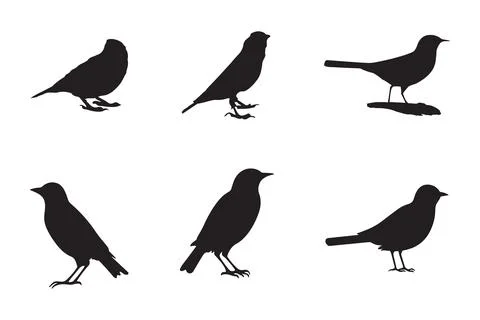Set of black bird silhouettes. Vector elements for design. Stock Illustration