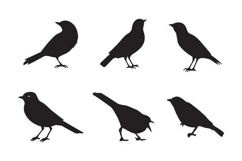Set of black bird silhouettes. Vector elements for design. Stock Illustration