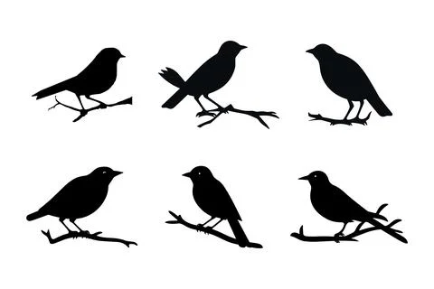 Set of black bird silhouettes. Vector elements for design. Stock Illustration