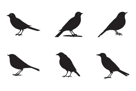 Set of black bird silhouettes. Vector elements for design. Illustrazione stock