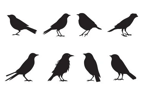 Set of black bird silhouettes. Vector elements for design. Illustrazione stock