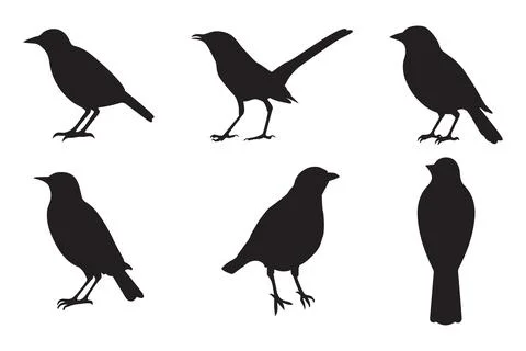 Set of black bird silhouettes. Vector elements for design. Stock Illustration