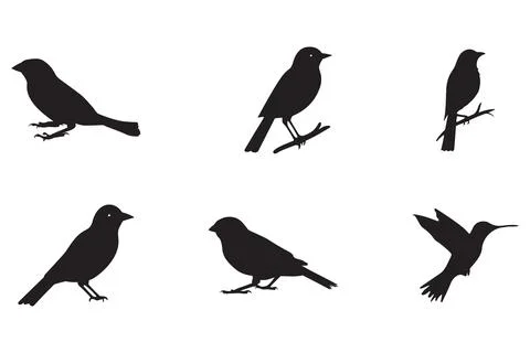 Set of black bird silhouettes. Vector elements for design. Illustrazione stock