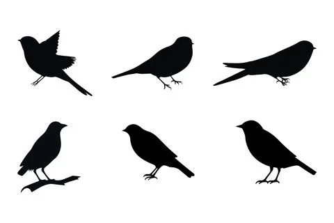 Set of black bird silhouettes. Vector elements for design. Stock Illustration