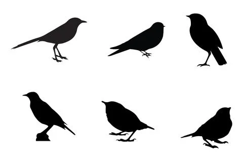 Set of black bird silhouettes. Vector elements for design. Stock Illustration