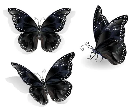 Set of black butterflies morpho Ilustración de archivo