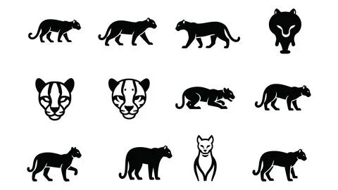 Set of black cheetah in flat design, cheetah walk, cheetah icon, cheetah he.. Stock Illustration
