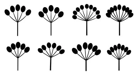 A set of black dandelion flowers in various stages of seed dispersal Stock Illustration