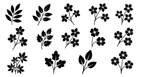 Set of black flower and leaf silhouettes Stock Illustration