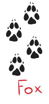 Set of black fox footprints, icon, isolated object on white background, vector Stock Illustration
