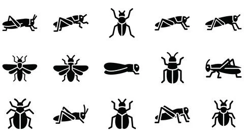 Set of black grasshopper and cricket icons for design projects. Stock Illustration