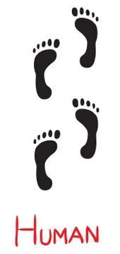 Set of black human footprints, icon, isolated object on a white background Stock Illustration