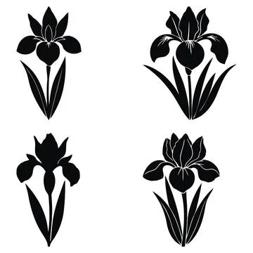 Set black iris flower vector illustrations art Stock Illustration