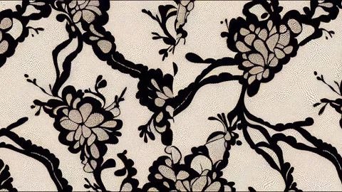 Set Of Black Lace Trim 2d illustrateds. Jacquard Mesh Lace Stock Footage 220126579