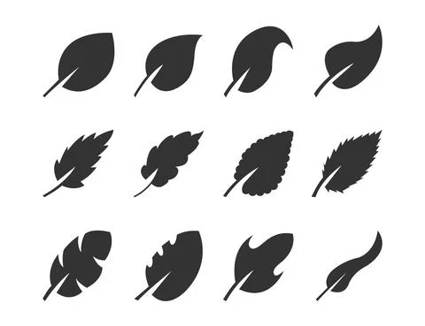 Set of black leaf of different design on white backgrund. Stock Illustration