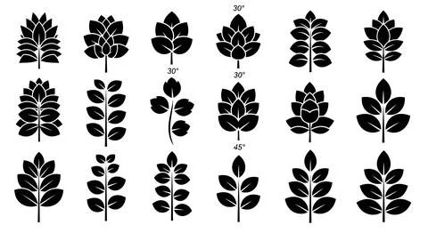 Set of black leaf icons on white Stockillustratie