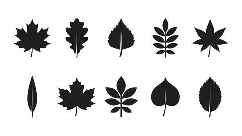 Set of black leaf silhouettes and foliage botanical icons. Stock Illustration