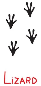 Set of black lizard footprints, icon, isolated object on white background Stock Illustration
