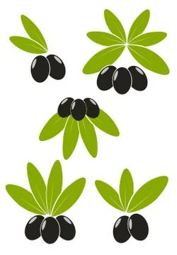 Set of black olives with leaves emblems Stock Illustration