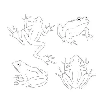 Set of black outline frogs. Isolated black line toads on white background. Pa イラスト素材
