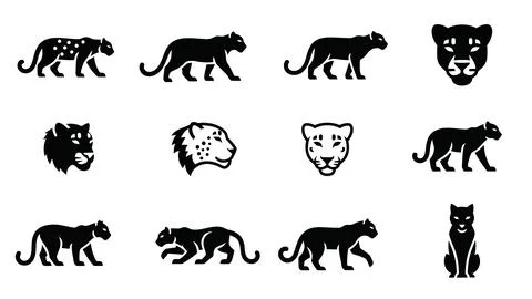 Set of black panther and leopard silhouettes for logo design. Stock Illustration
