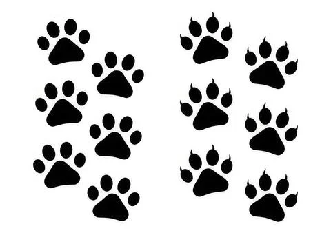 Set of black paw prints in different sizes on white background Stock Illustration