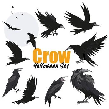 Set of black raven bird in different poses crows Illustrazione stock