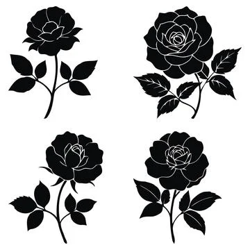 Set black rose vector graphics on white background Stock Illustration
