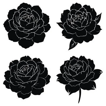 Set black roses in a vector on a white background Stock Illustration