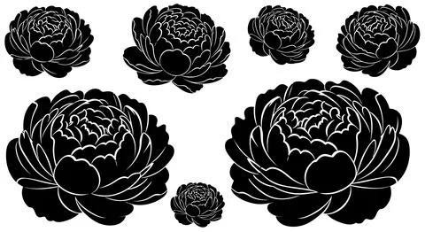 A set of black roses on a white background Stock Illustration
