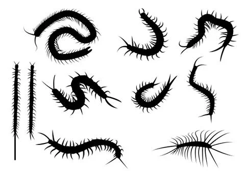 Set of black silhouette centipede in flat icon style. isolated on white backg Stock Illustration