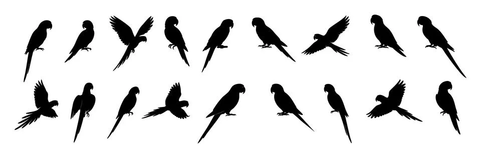Set of Black silhouette of multiple macaw parrots in various poses, isolated on Illustrazione stock