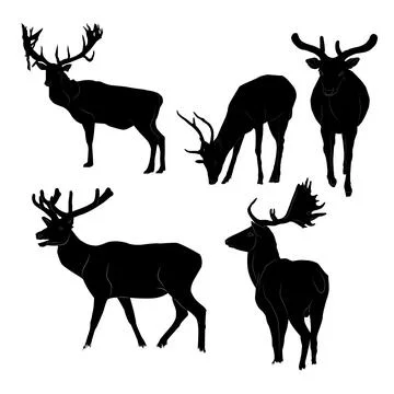 Set of black silhouettes of deer on a white background Stock Illustration