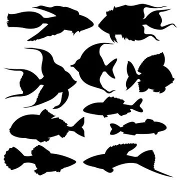 Set of black silhouettes of fish. Vector illustration Stockillustratie