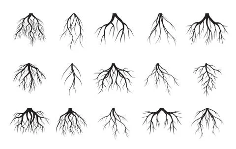 Set of black Tree Roots. Vector outline Illustration and nature image. Illustrazione stock