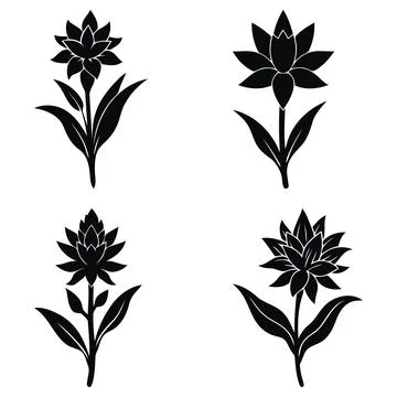 Set black tuberose flower design on white layout Stock Illustration