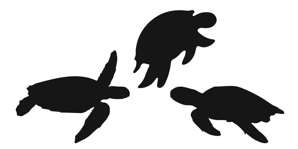 Set black turtle or tortoise sign icon on white background. Vector clipart il 스톡 일러스트